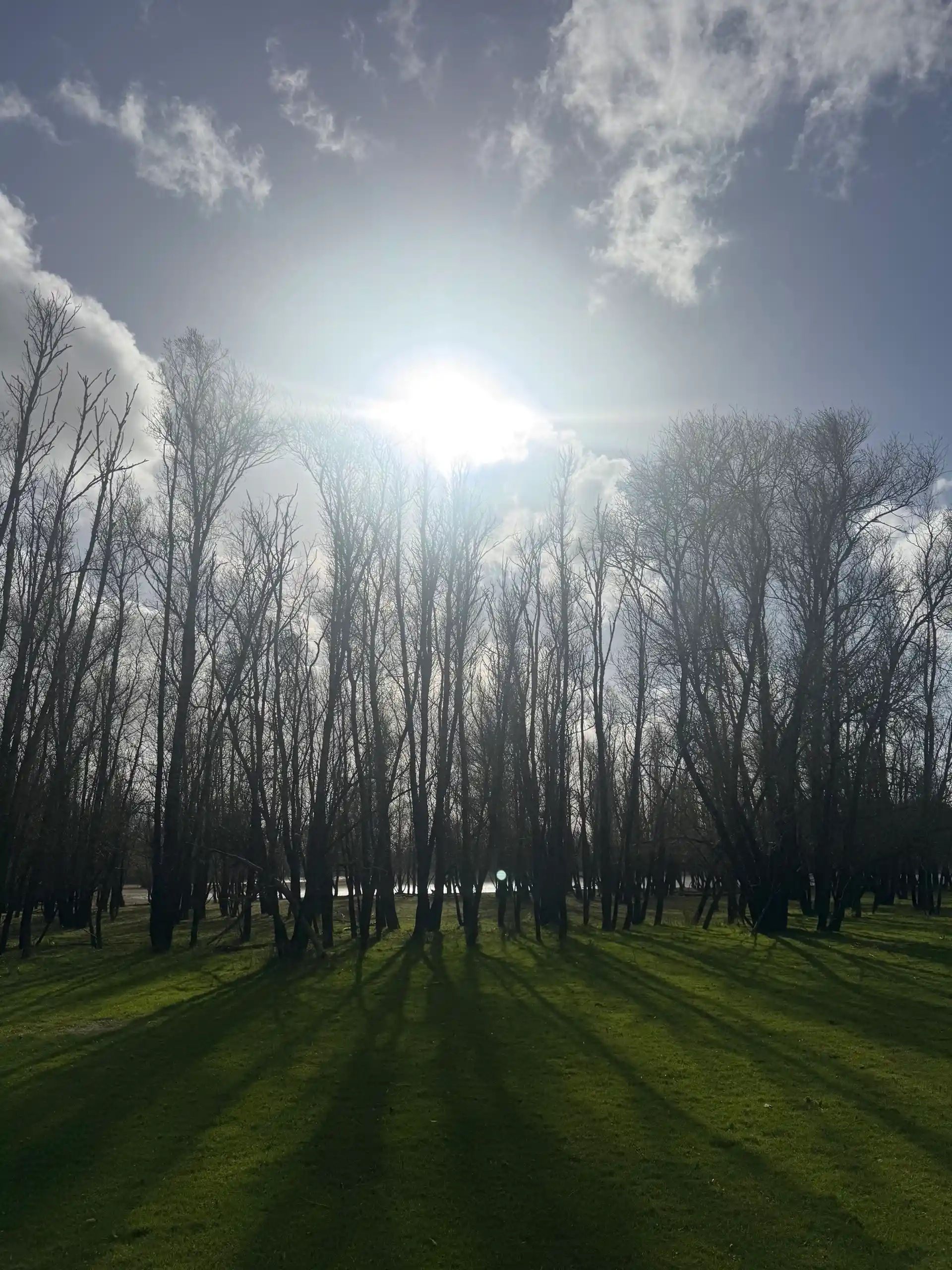 Het landschap rondom het Veerhuis